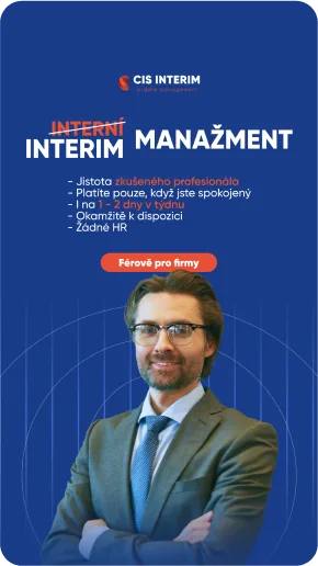Reklamní kreativy interim managementu s manažery, golfisty a e-bookem, Interim management, obrázek 5
