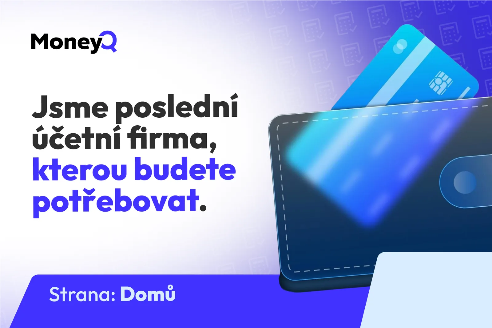 Extra grafická ukázka 1: Daňové a účetní služby