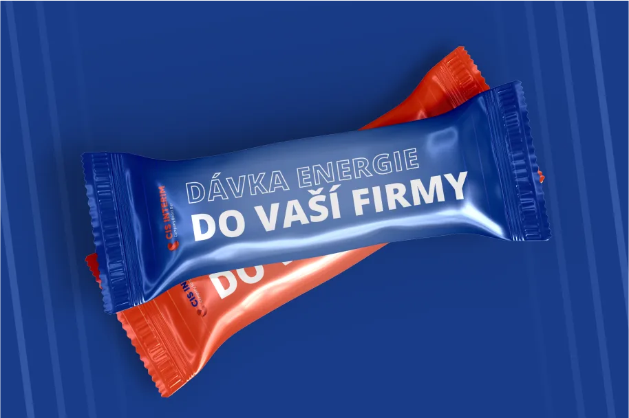 Mockupy landing page, e-booku a tyčinky interim managementu, Interim management, obrázek 4